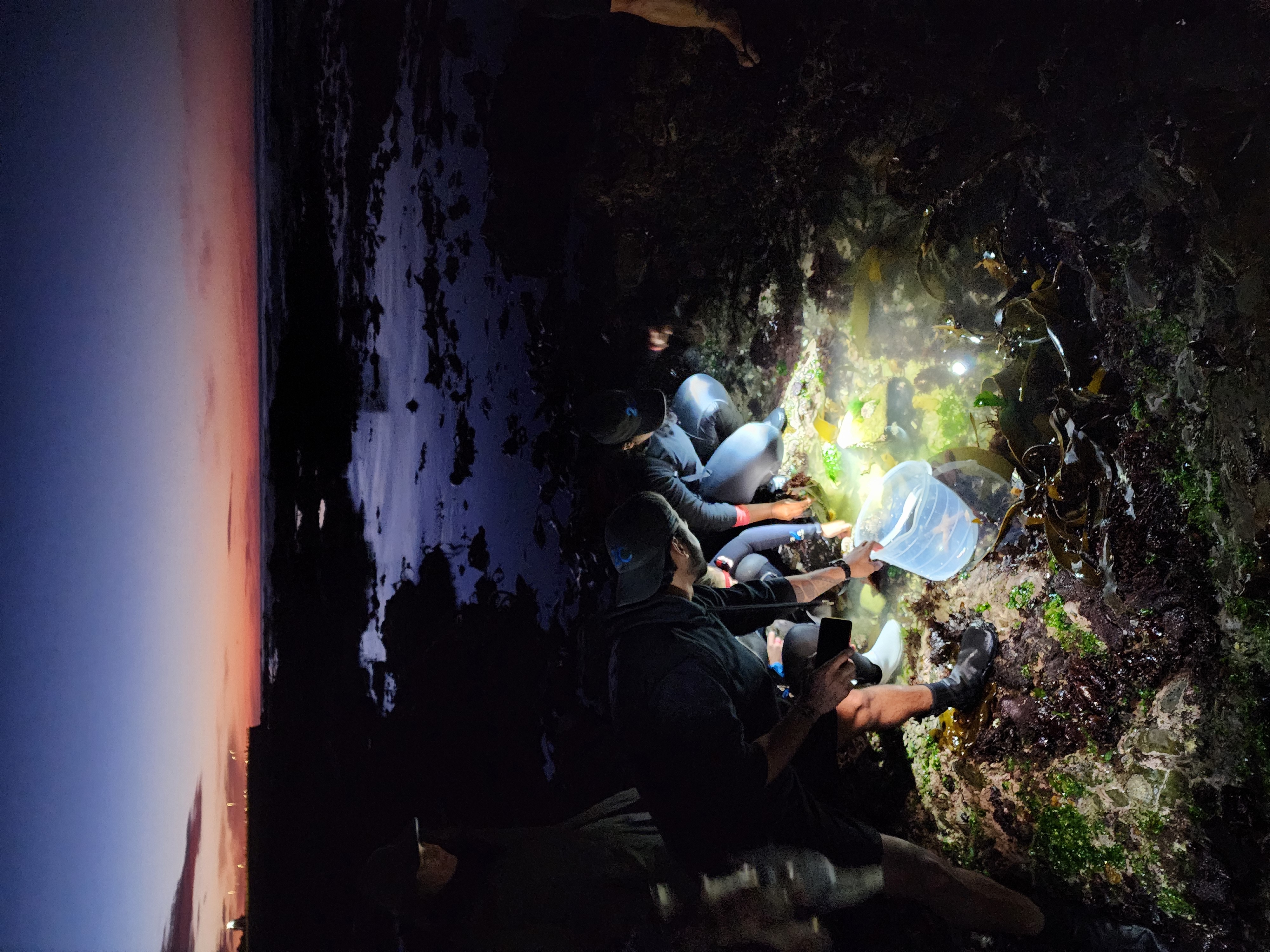 Sunset over the Atlantic