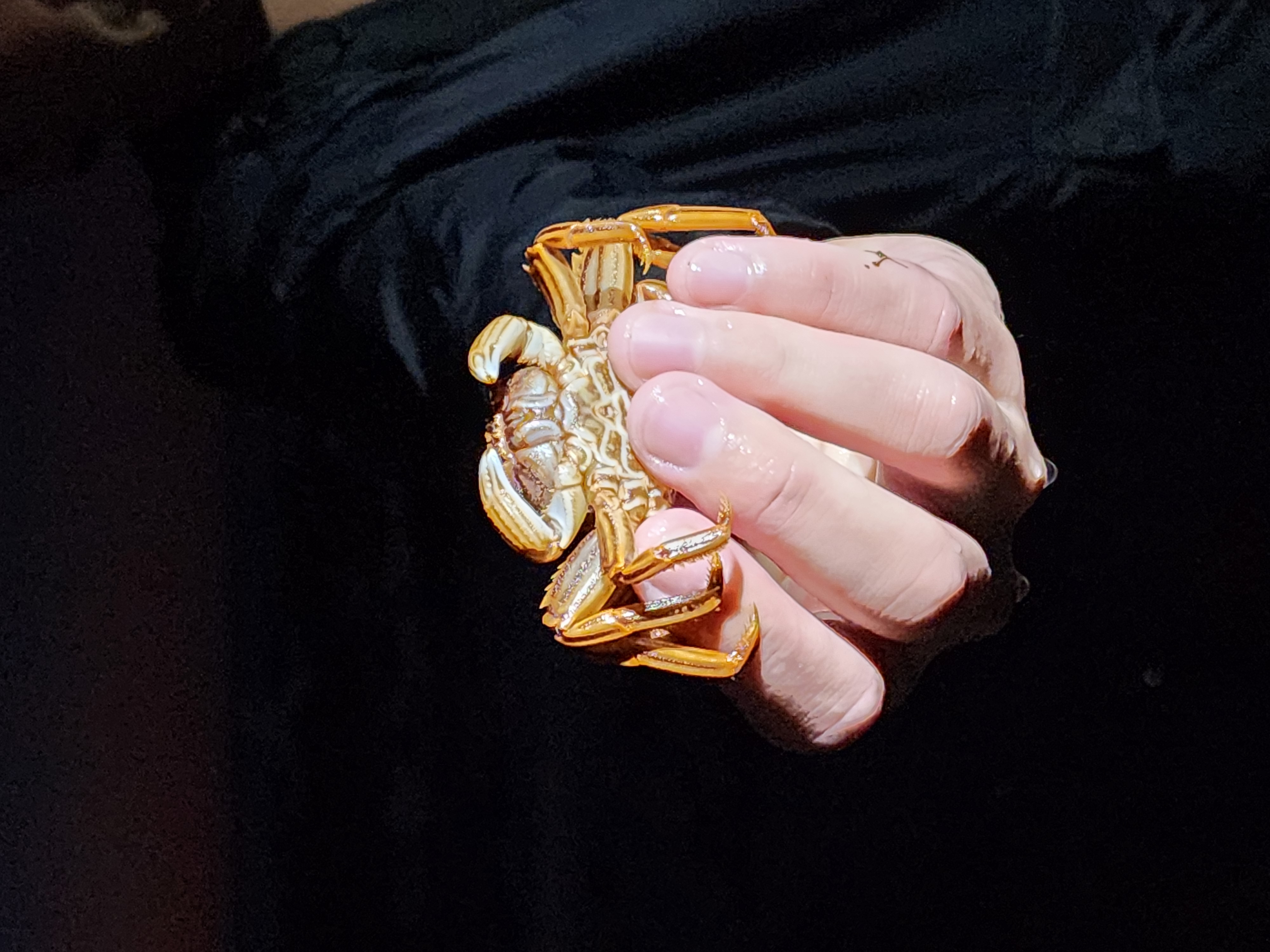Snorkel preparation on the shoreline