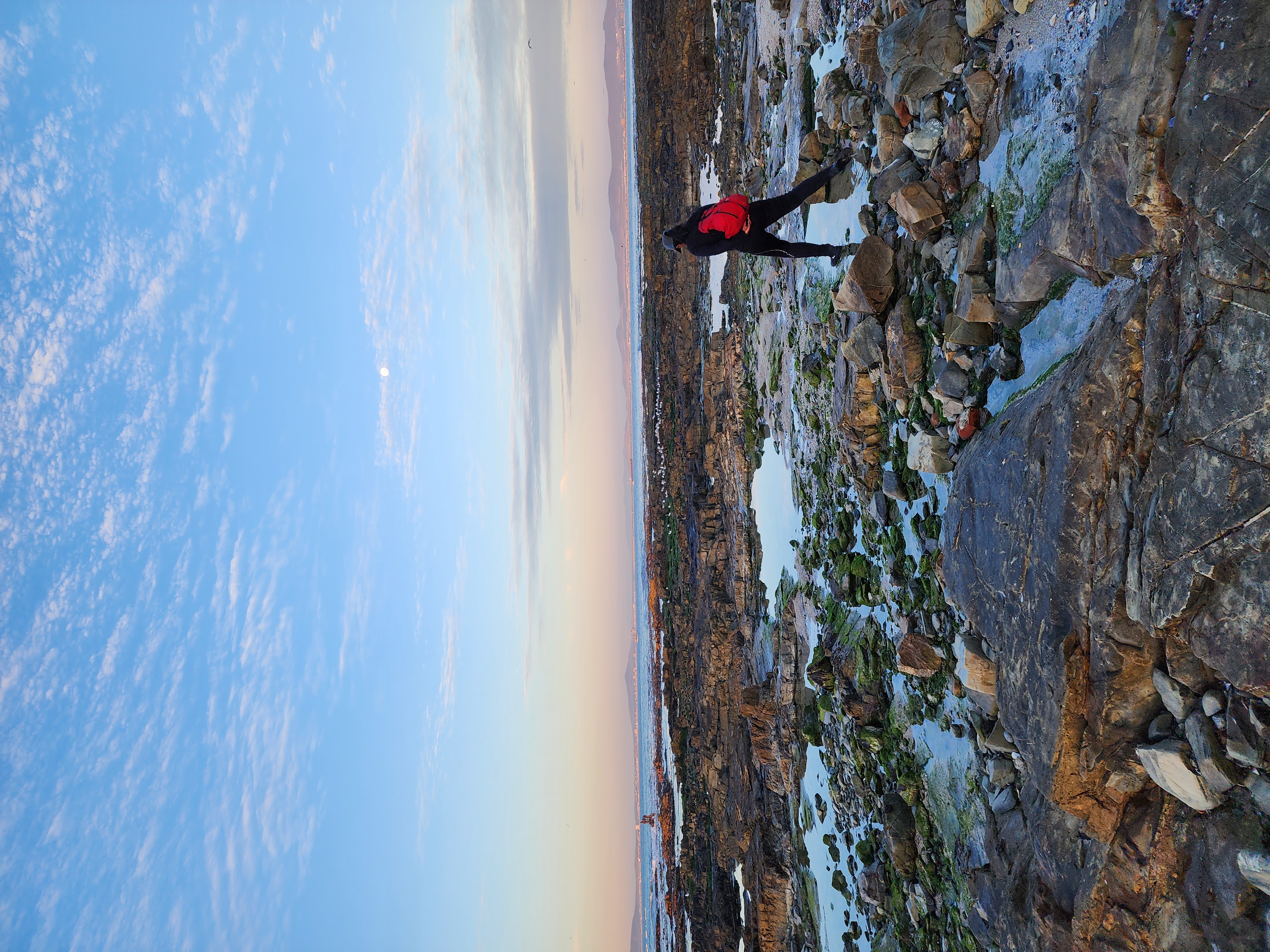 Marine guide explaining tidepool life