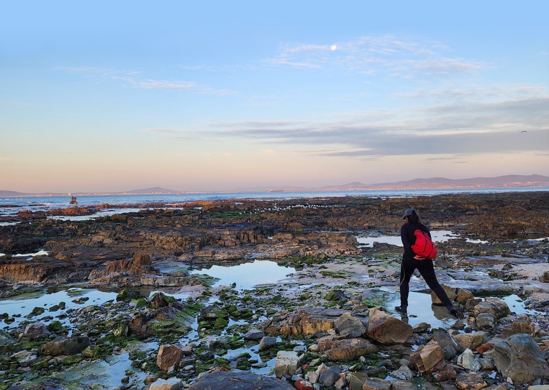 Exploring the exposed rocky shoreline in daylight