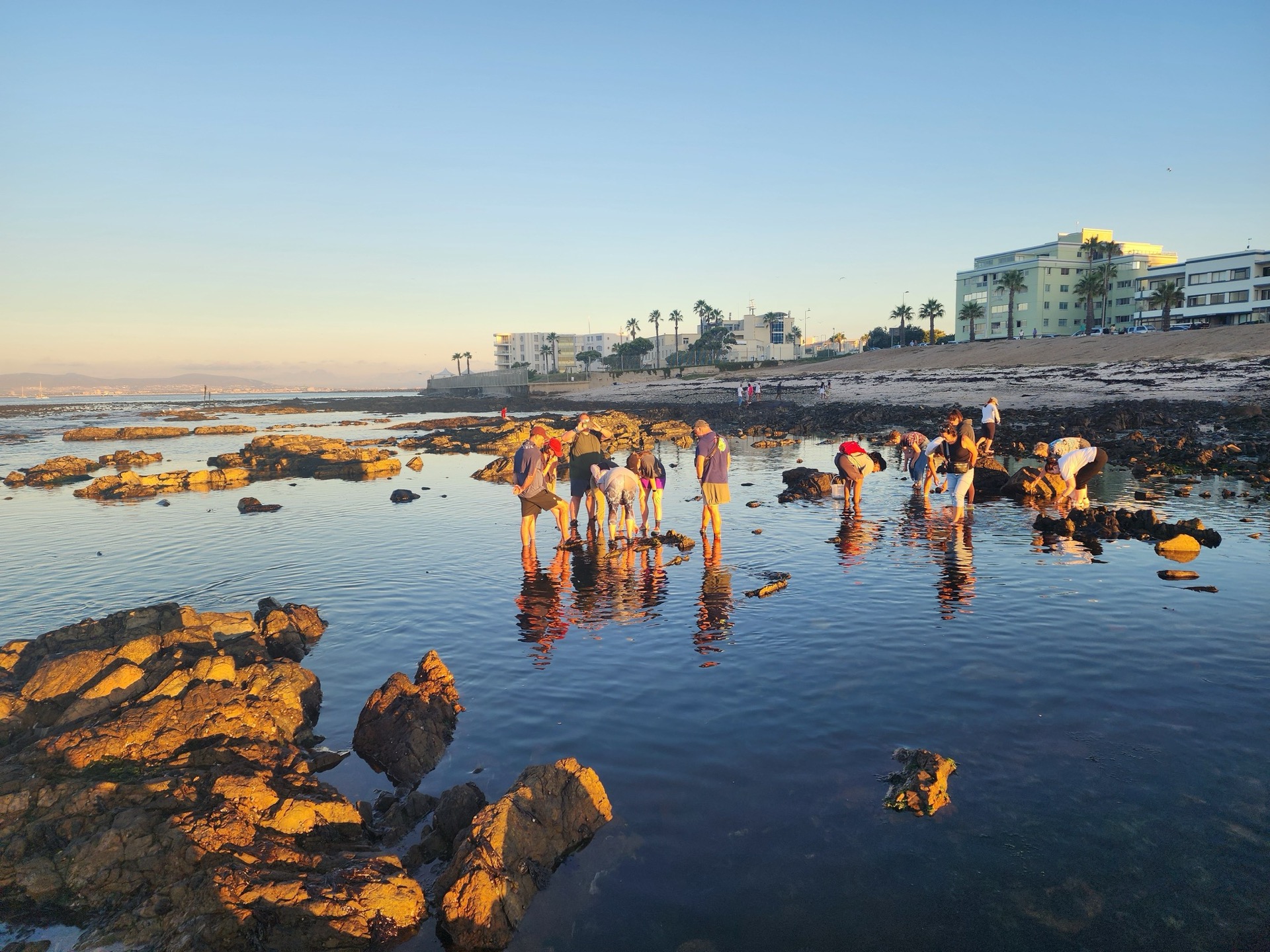 A small group wading ankle-deep through a tidal pool at Three Anchor Bay at golden hour