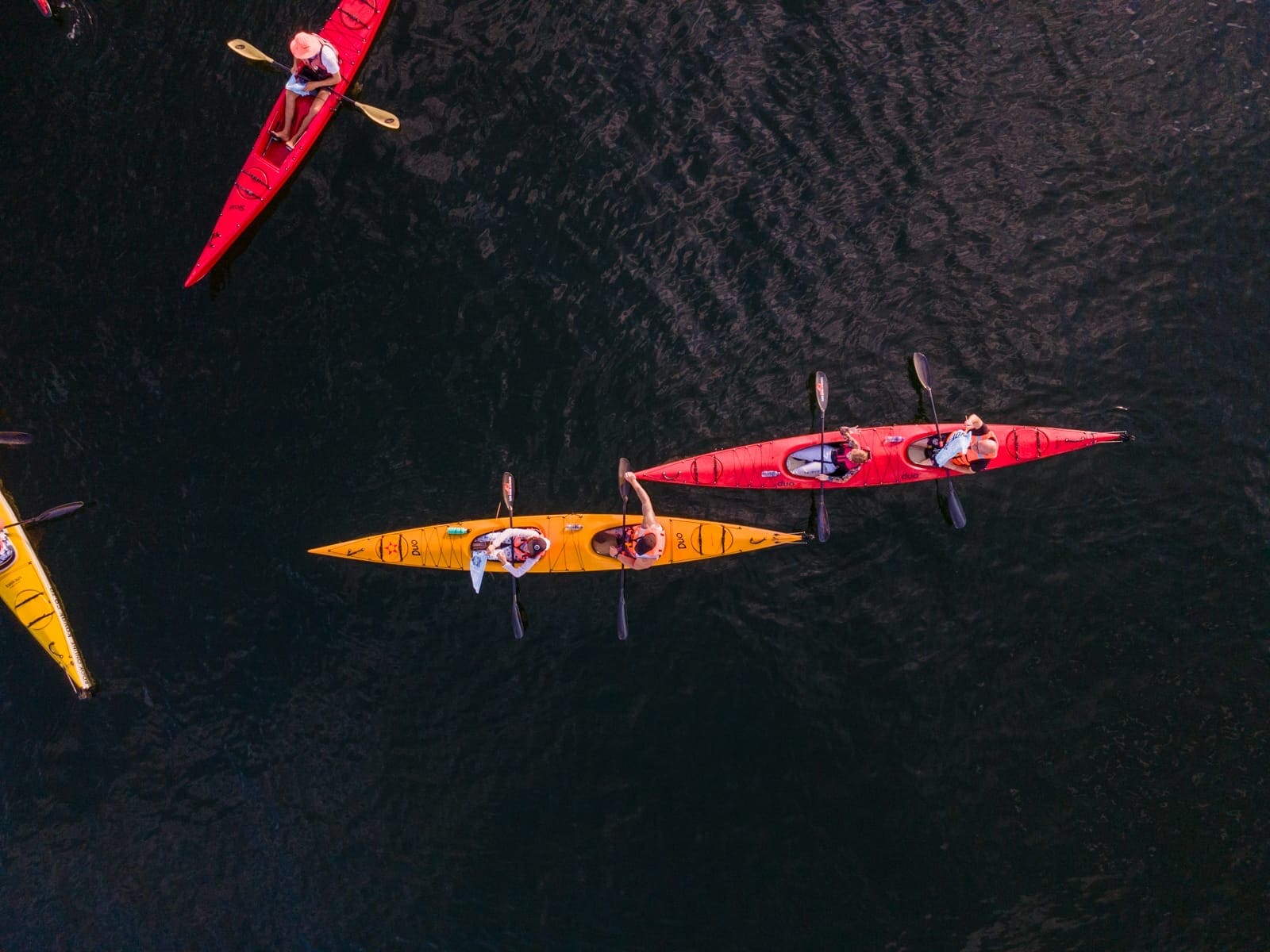 Kayakers paddling above the kelp forest
