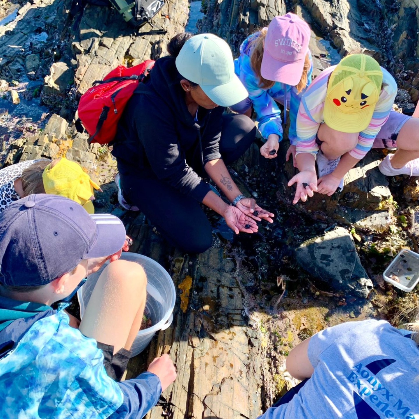 A guide and guests crouched over a rock shelf with small snails cupped in their hands
