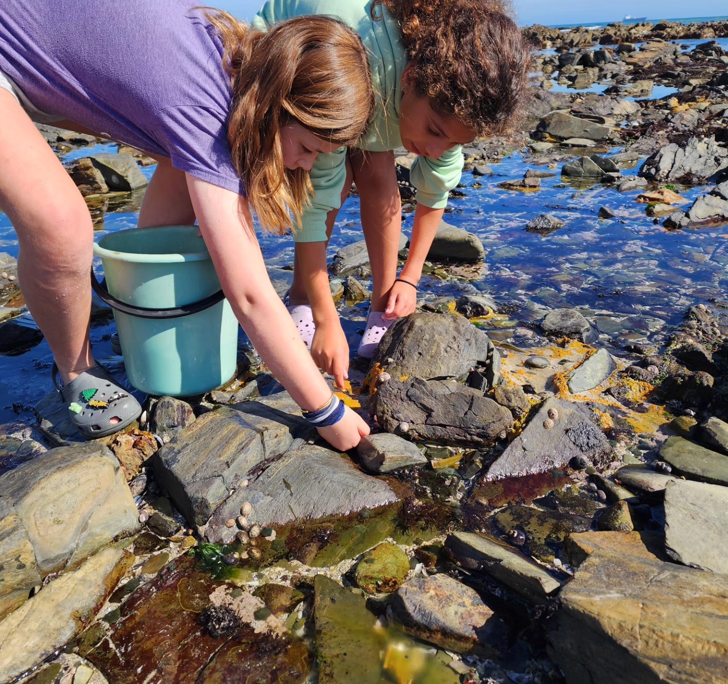 Two children lifting a rock to find limpets in a sunlit pool