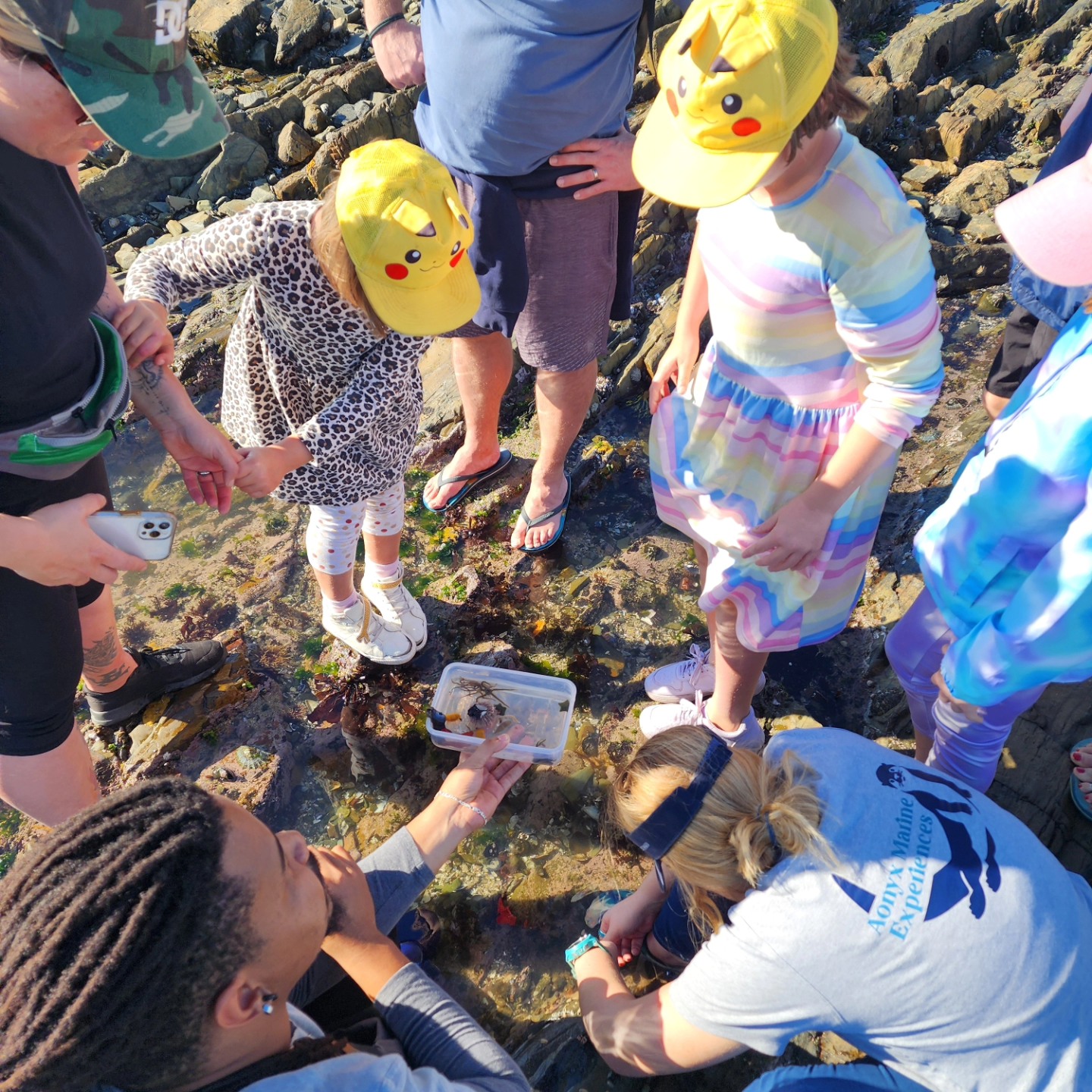 A guide passing a specimen tub around a group standing in a shallow pool