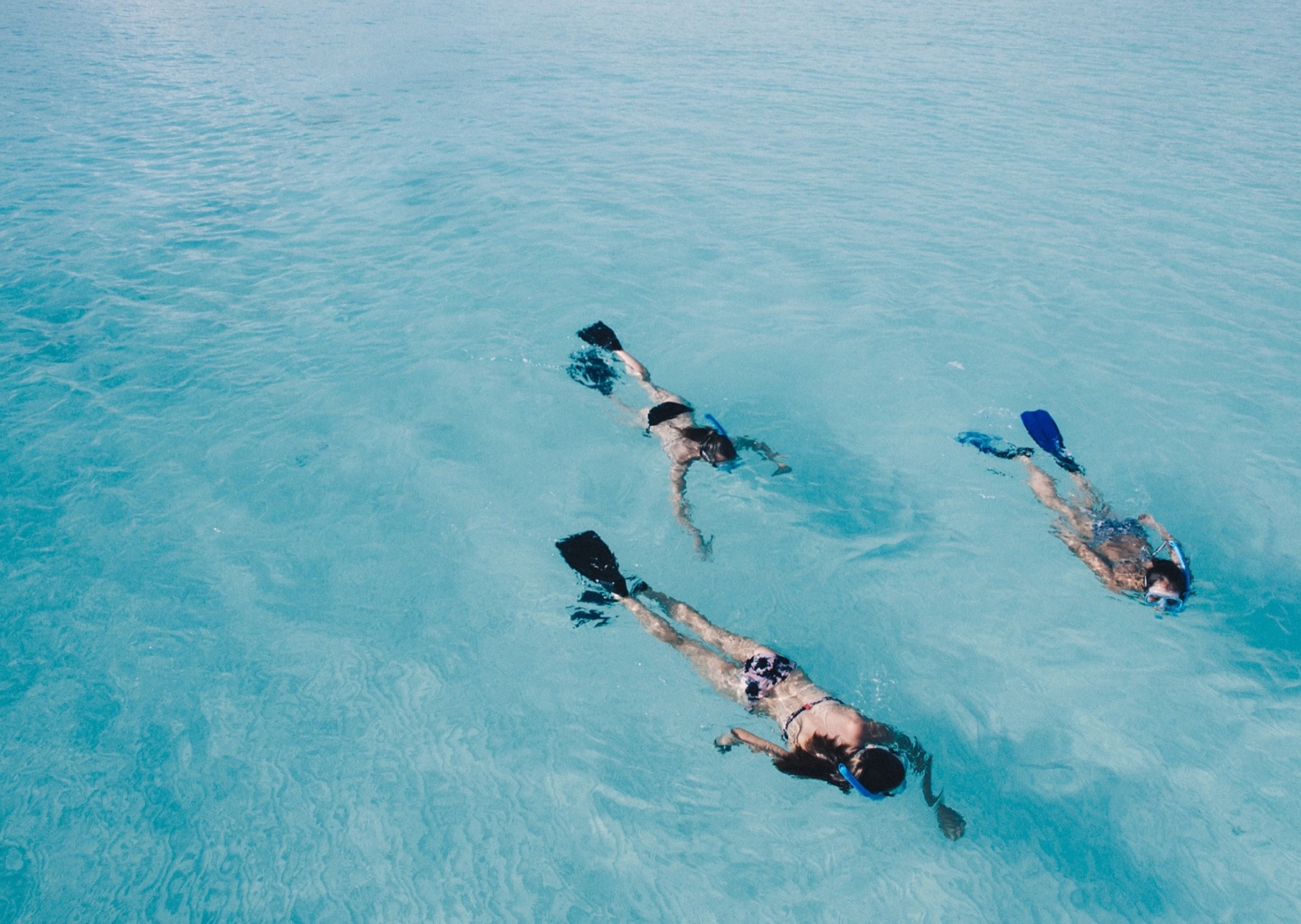Snorkellers exploring clear coastal waters